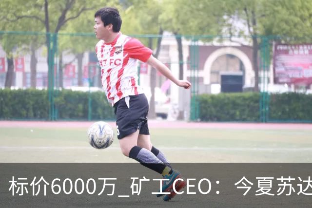标价6000万 矿工CEO：今夏苏达科夫肯定去豪门